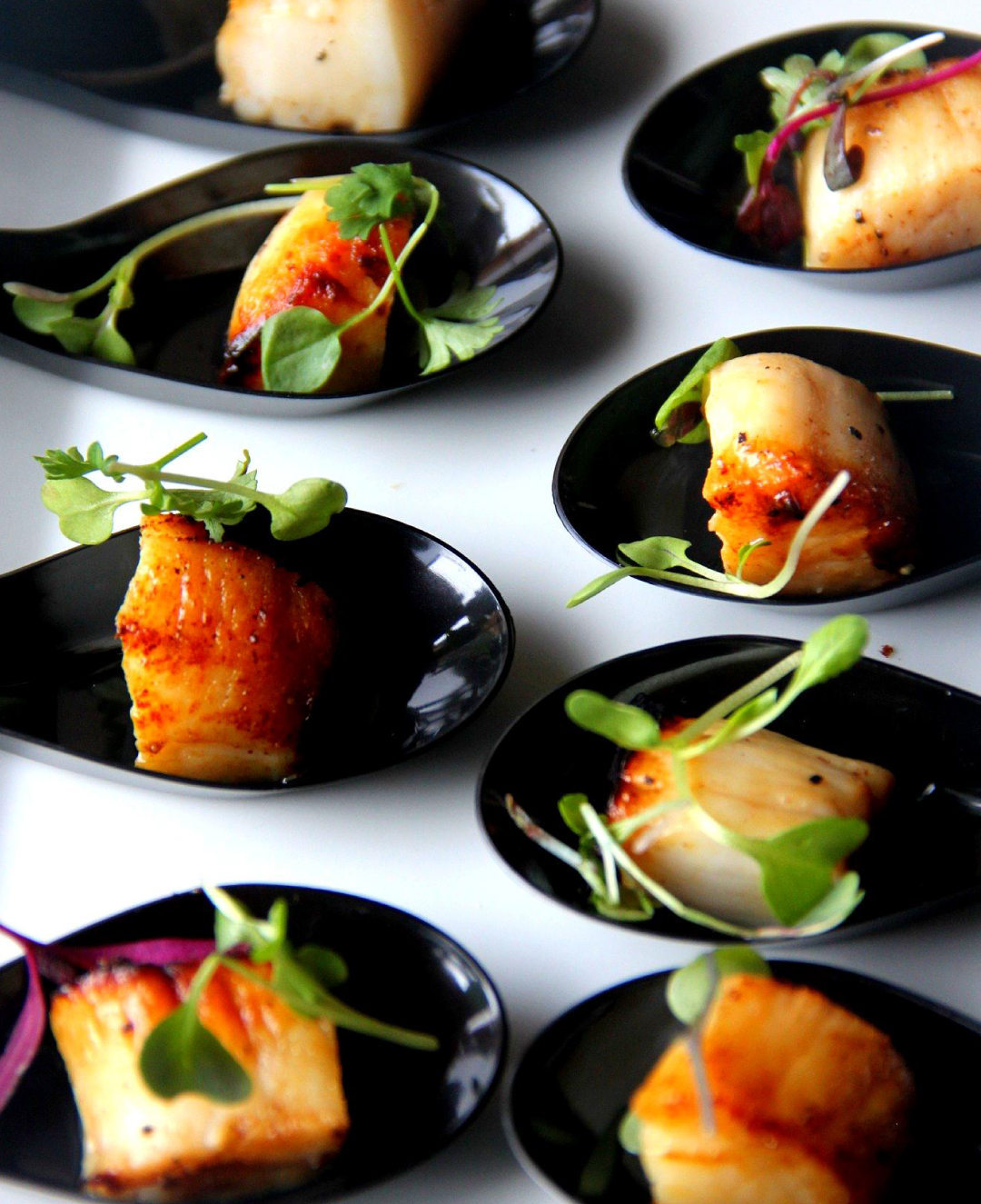 SCALLOPS2